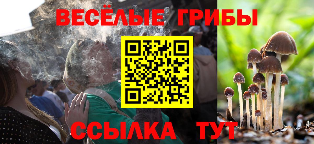 Рязань  Галлюциногенные грибы Psilocybine cubensis  Вход с VPN 