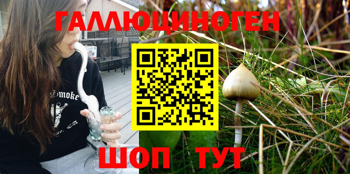Галлюциногенные грибы Psilocybine cubensis Рязань
